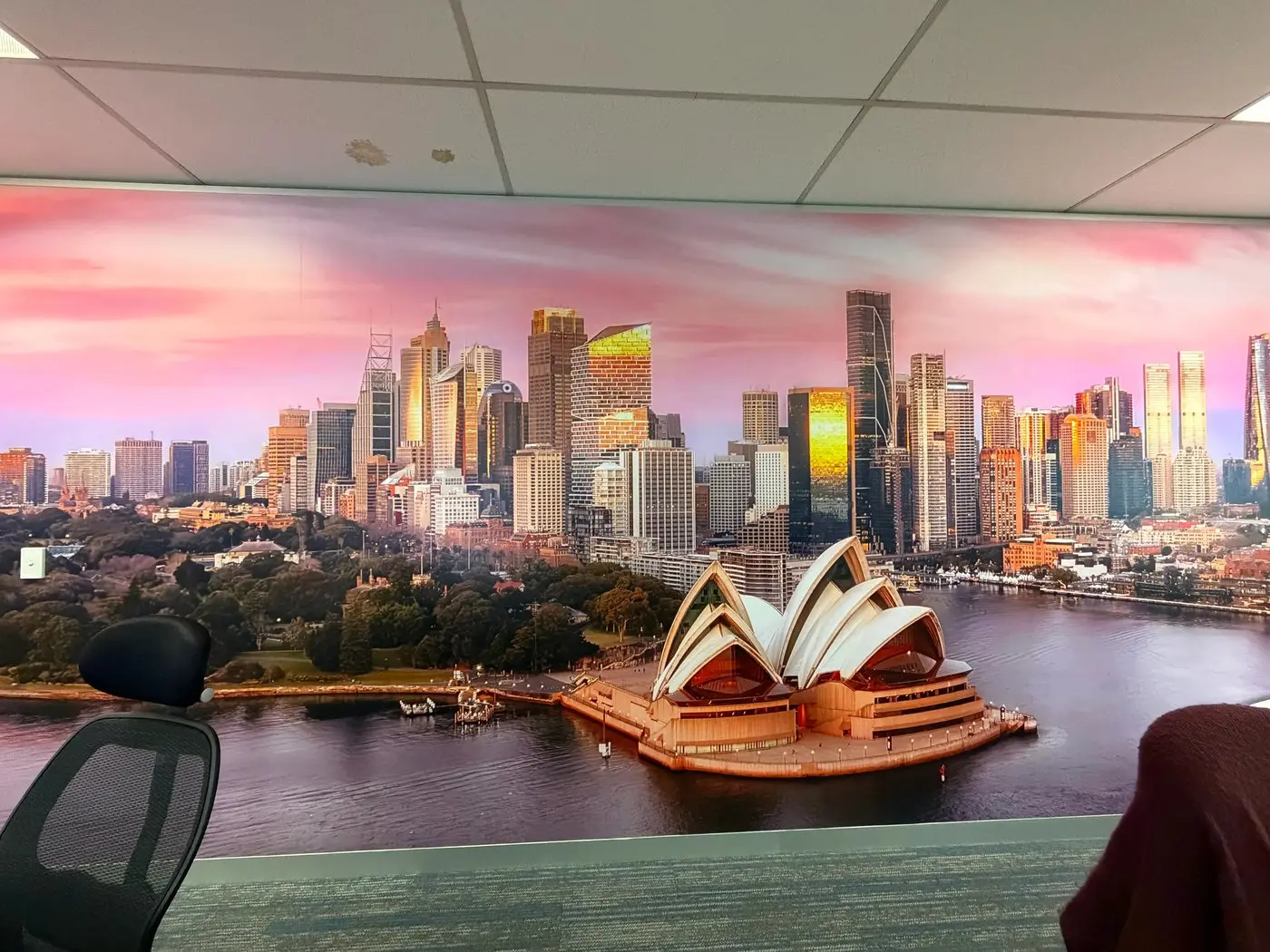 Full-height Sydney Harbour and Opera House mural running along an office wall behind workstations