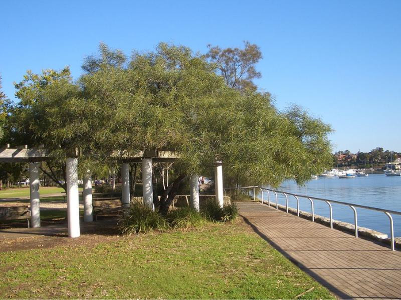 Lilyfield