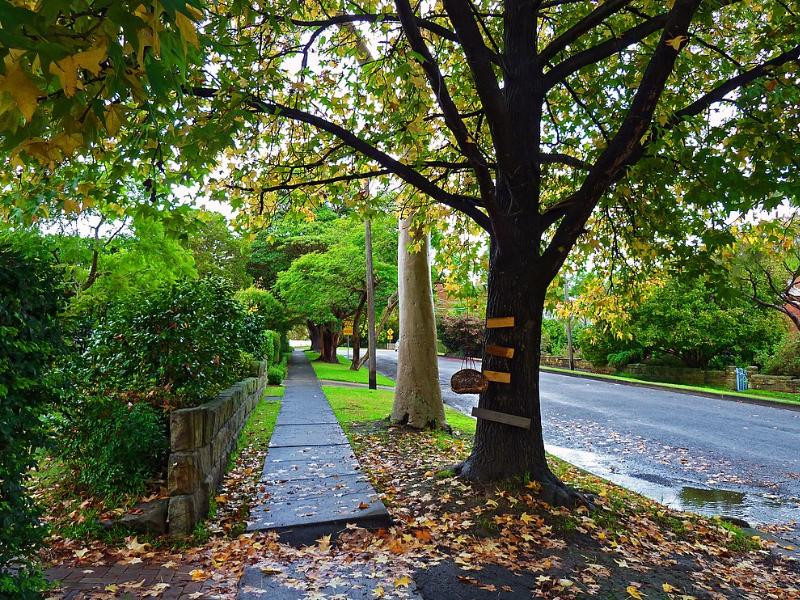 Lindfield