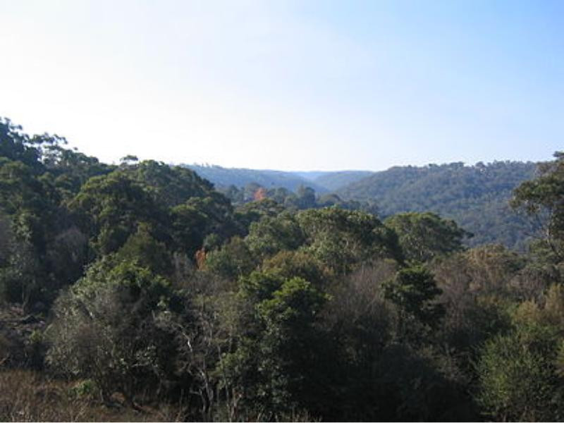 Hornsby Heights