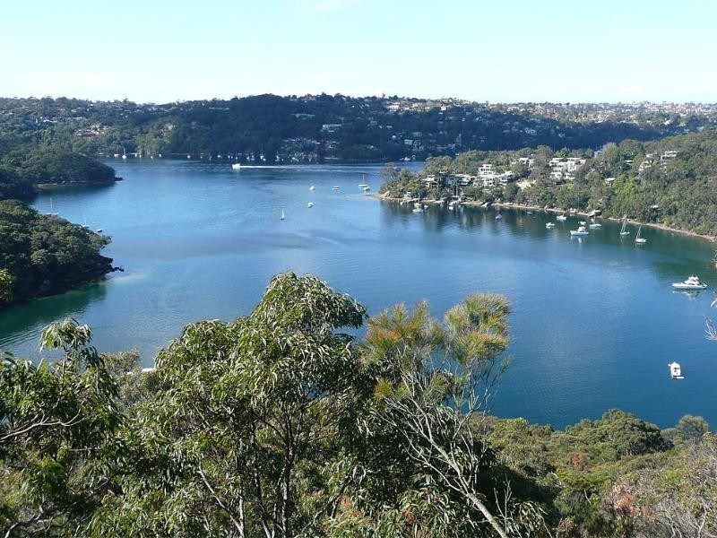 Middle Cove