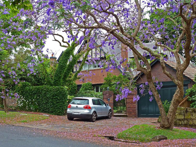 Killara