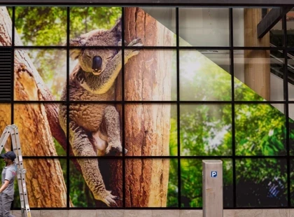 FULL WINDOW GRAPHICS
