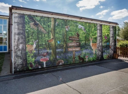 WALL MURALS