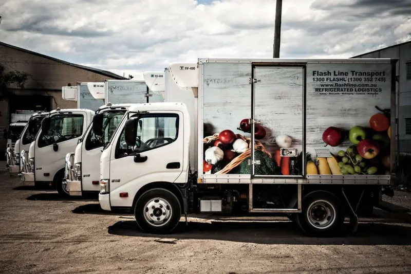 Vehicle Wrap